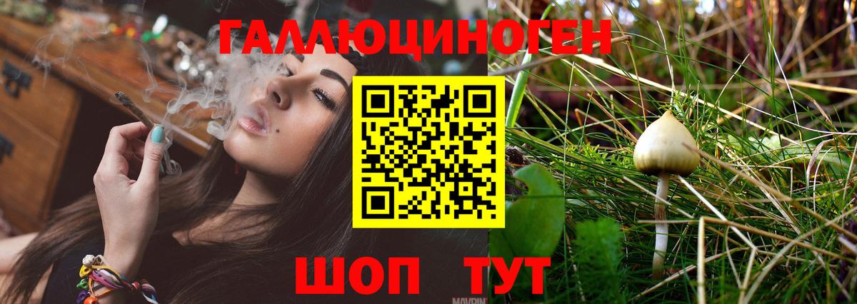 Галлюциногенные грибы Magic Shrooms  Псилоцибиновые грибы MAGIC MUSHROOMS  Малоярославец  Вход с VPN 