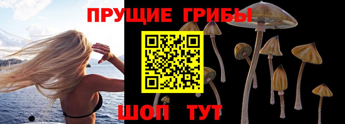 Псилоцибиновые грибы Magic Shrooms Малоярославец