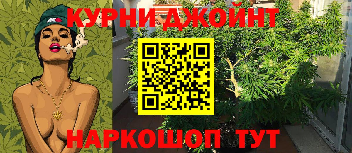 Шишки марихуана план  Шишки марихуана LSD WEED  Вход с VPN  Бошки марихуана тримм  Малоярославец 